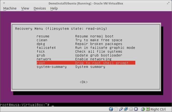 Ubuntu - Recovery mode