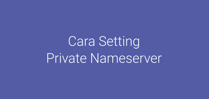 Cara Setting Private Nameserver