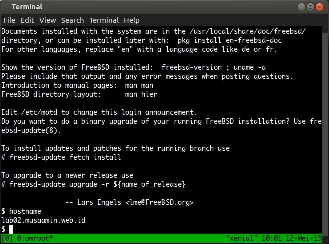 Cara Install FreeBSD di VPS UpCloud