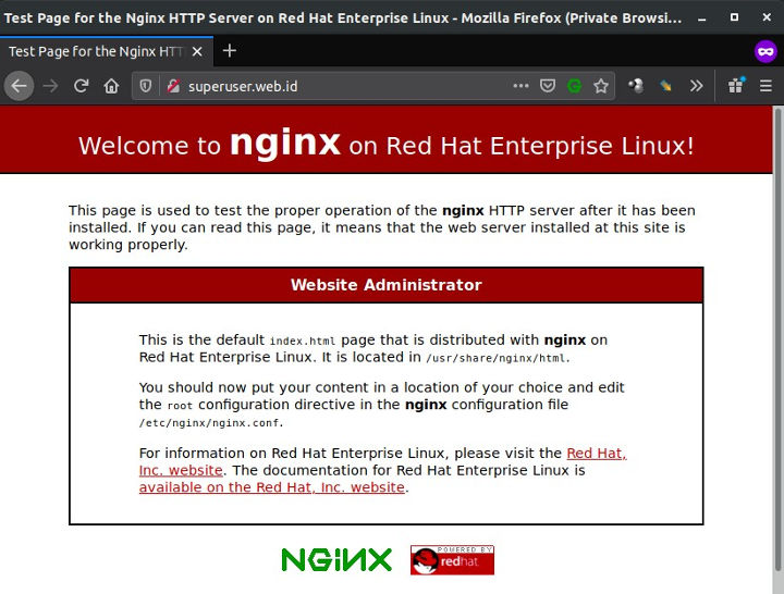 Halaman Nginx menggunakan domain