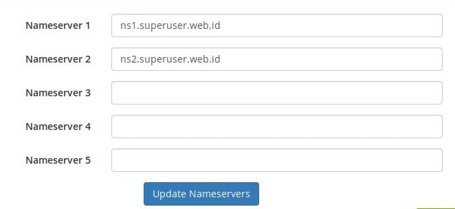 Domain nameserver