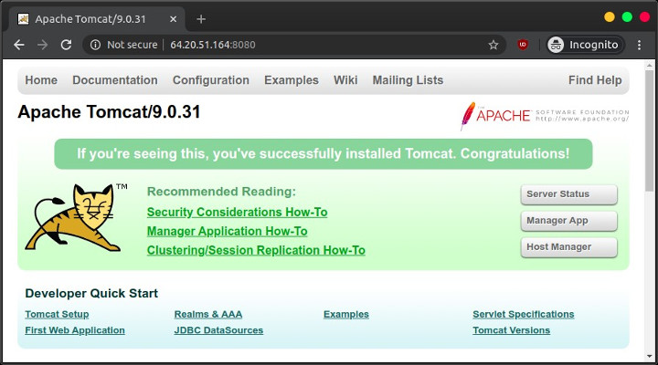 Apache Tomcat Web Management Interface