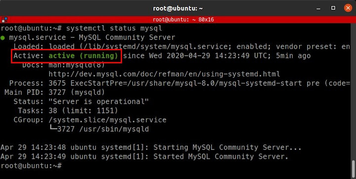 Status mysql service