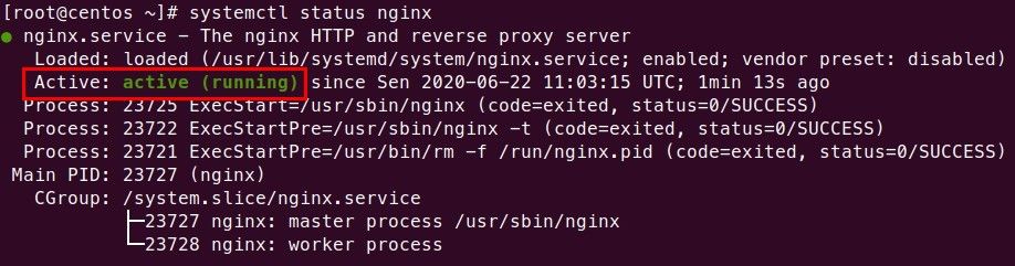 Nginx service status
