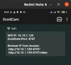 Ubuntu ip camera online as webcam