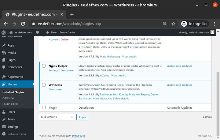 WordPress plugins