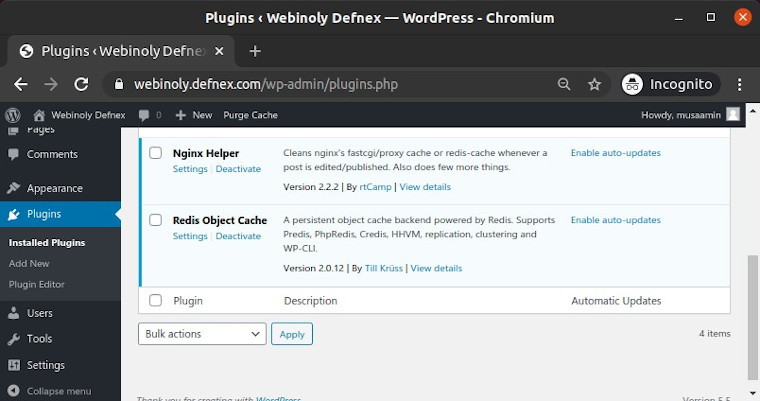 WordPress cache plugin