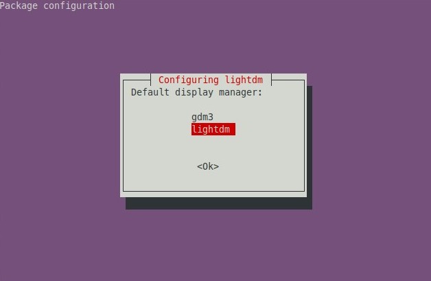 Default display manager
