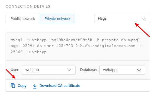 Database connection details