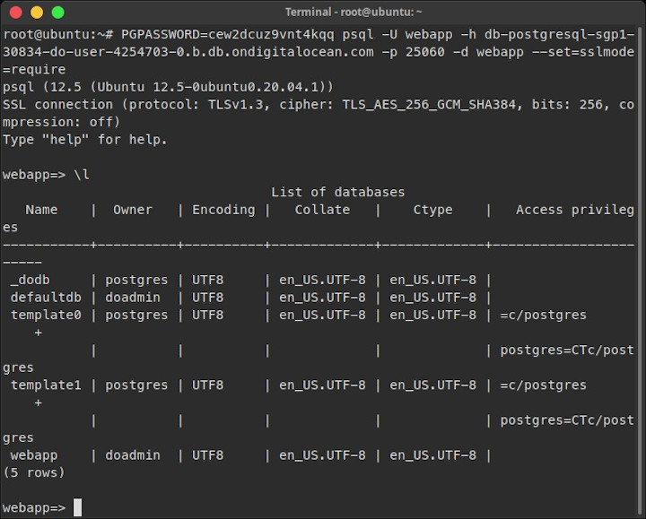 Connecting to PostgreSQL database via public network