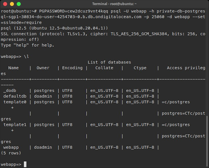 Connecting to PostgreSQL database via private network