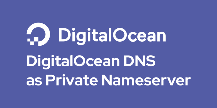 DigitalOcean DNS as Private Nameserver
