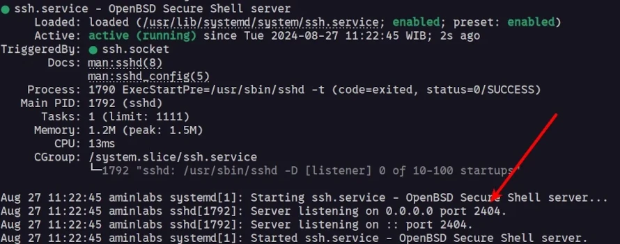 SSH Service Status